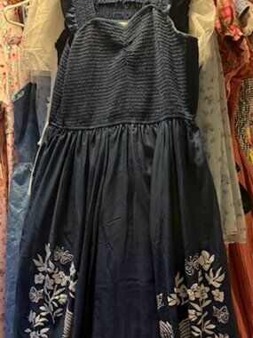 Ivy City Finch dress in Blue, XL